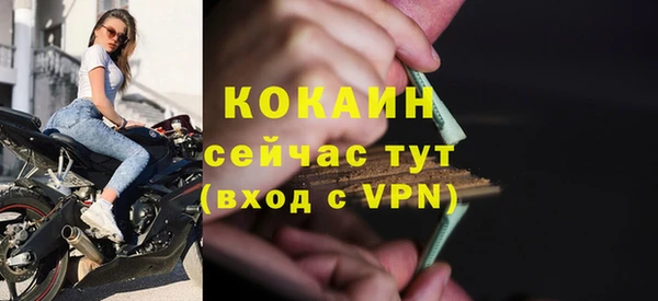 стафф Новодвинск