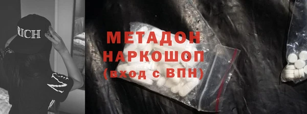 шишки Гвардейск