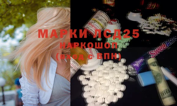 стафф Новодвинск