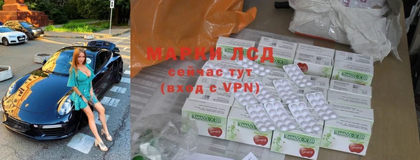 стафф Новодвинск