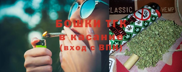 стафф Новодвинск