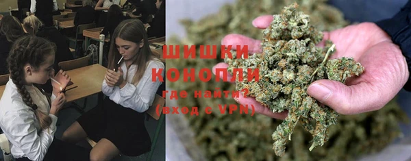дурь Новозыбков