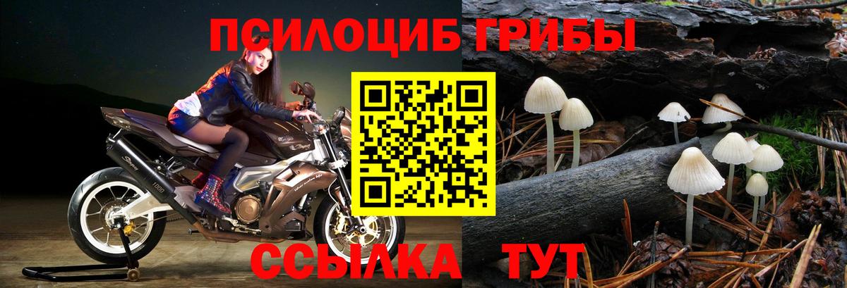 Галлюциногенные грибы Magic Shrooms Нягань
